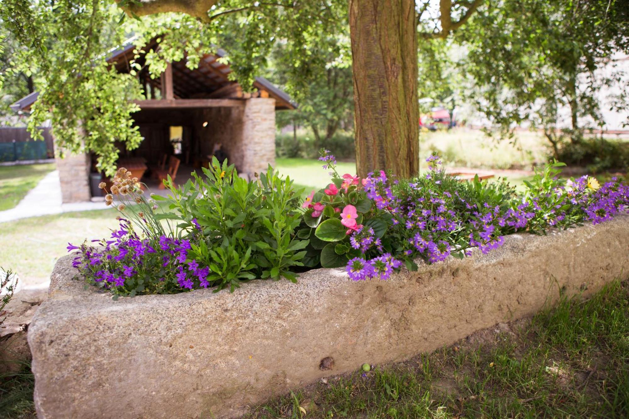 Ubytovani U Vladare Velhartice Exterior foto